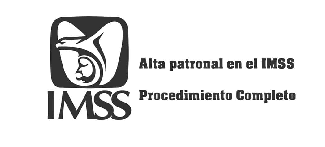 Alta Patronal En El Imss Procedimiento Completo Mx 8251