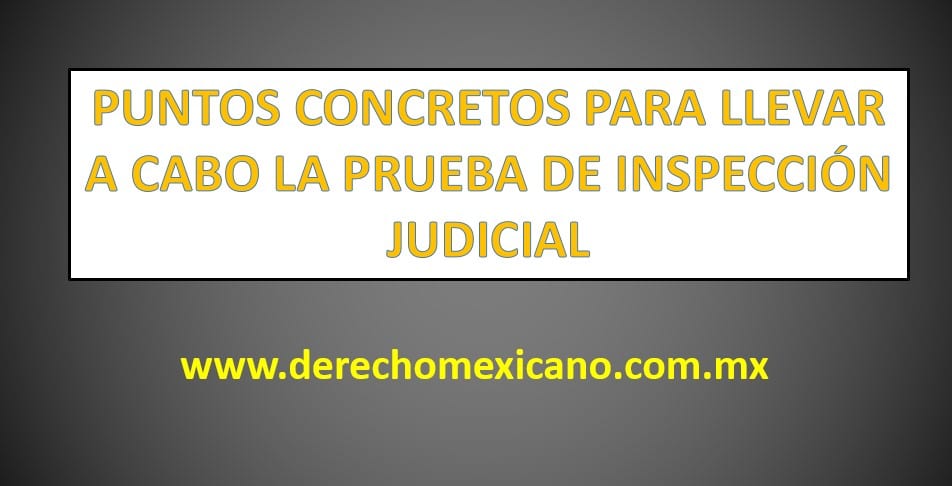 Ejemplo De Prueba De Inspeccion Judicial En Materia Civil Nuevo Ejemplo