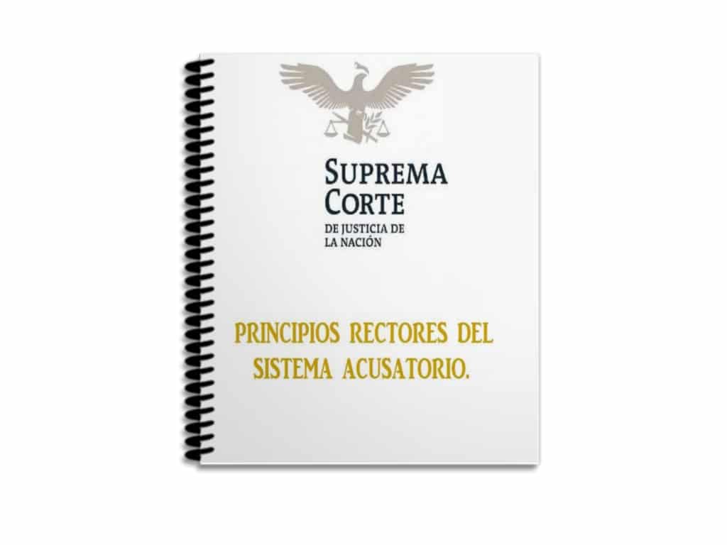 Principios Rectores Del Sistema Acusatorio Mx 5082