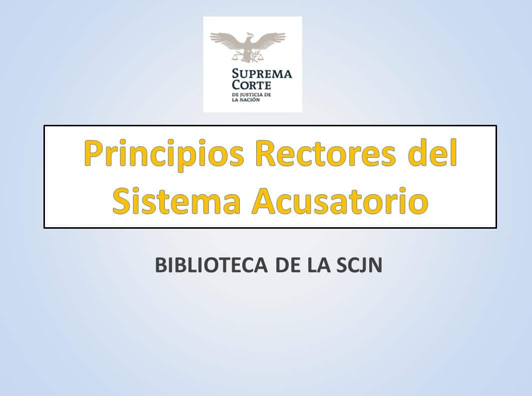 Principios Rectores Del Sistema Acusatorio Mx 0564