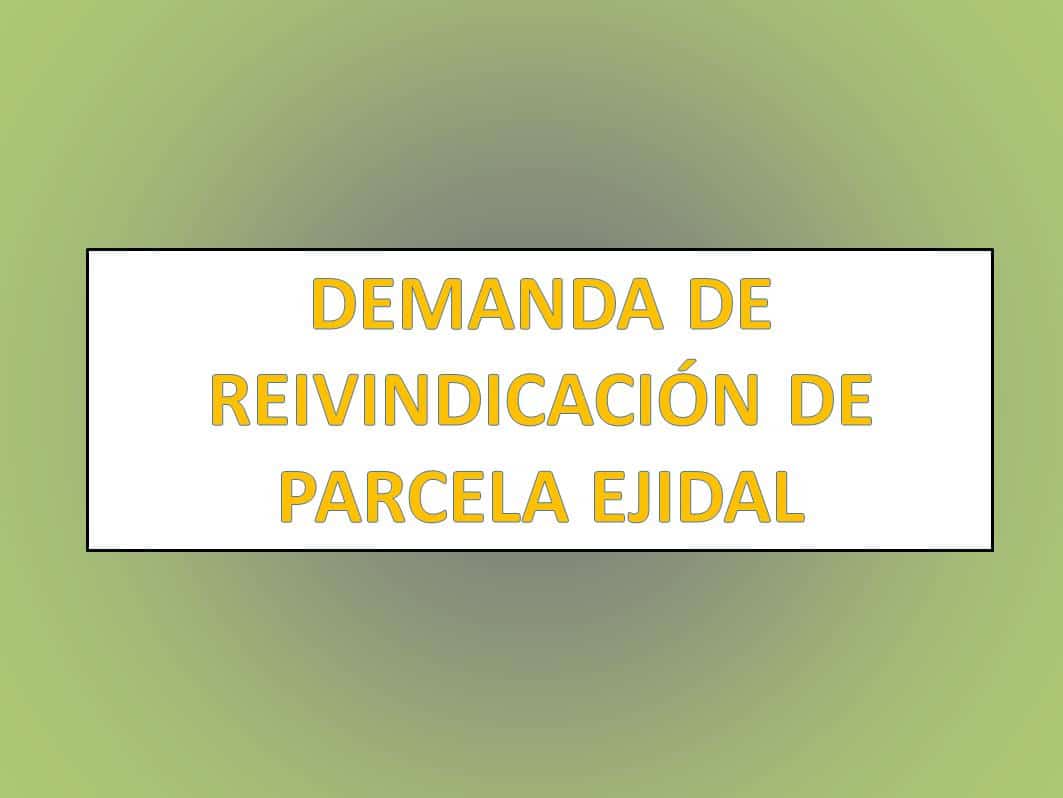 DEMANDA DE REIVINDICACIÓN DE PARCELA EJIDAL 