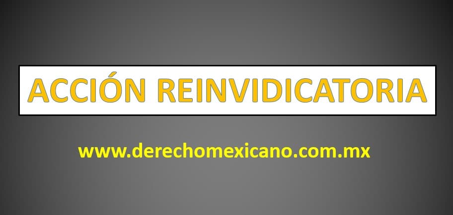 ACCIÓN REINVIDICATORIA 