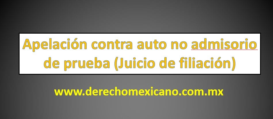 Apelación contra auto no admisorio de prueba (Juicio de filiación) -  