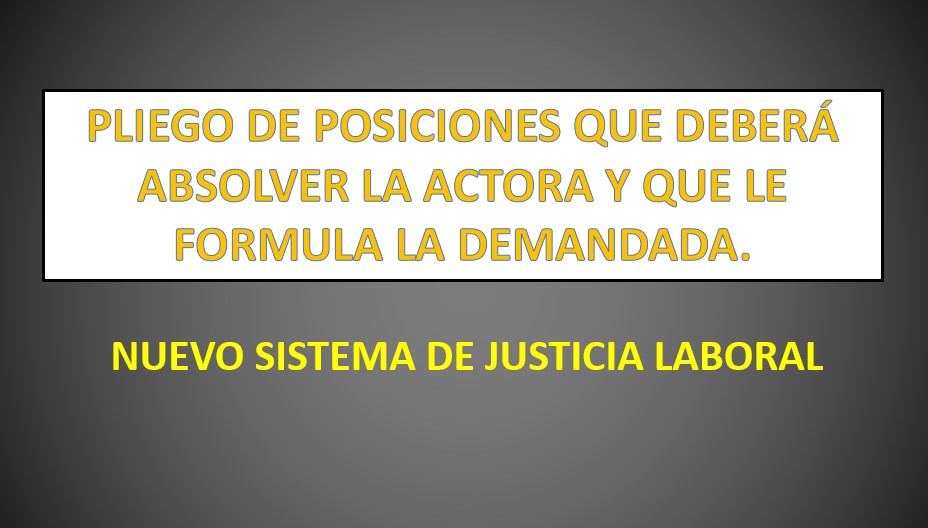 Pliego De Posiciones Que Deber Absolver La Actora Y Que Le Formula La Demandada